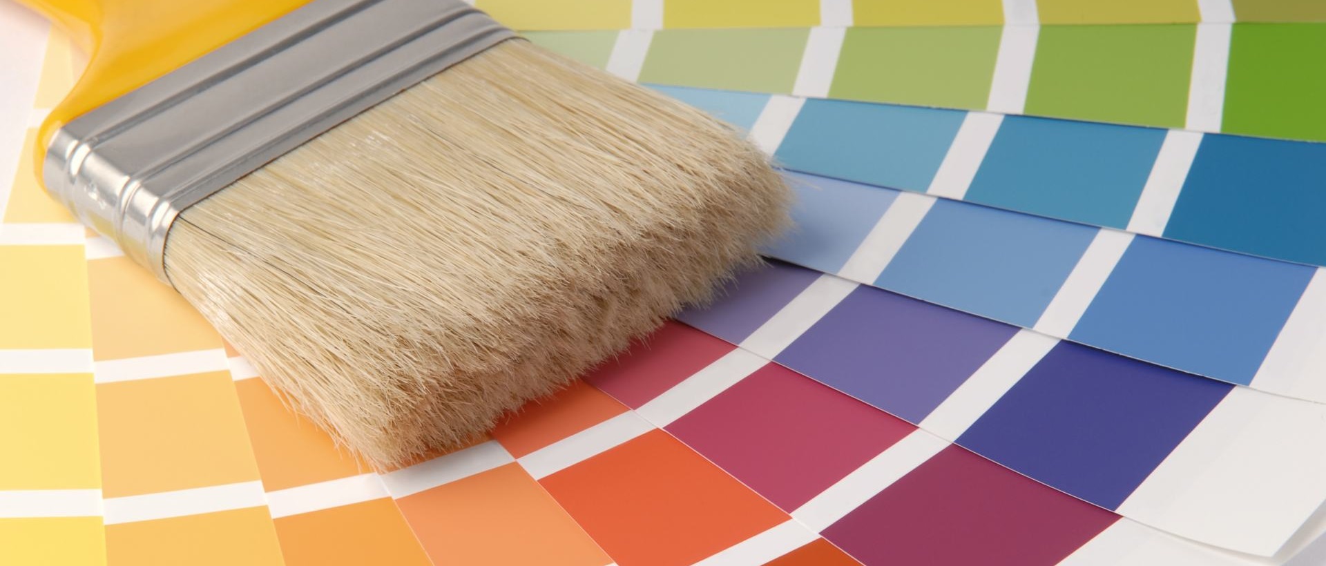 Painter N19